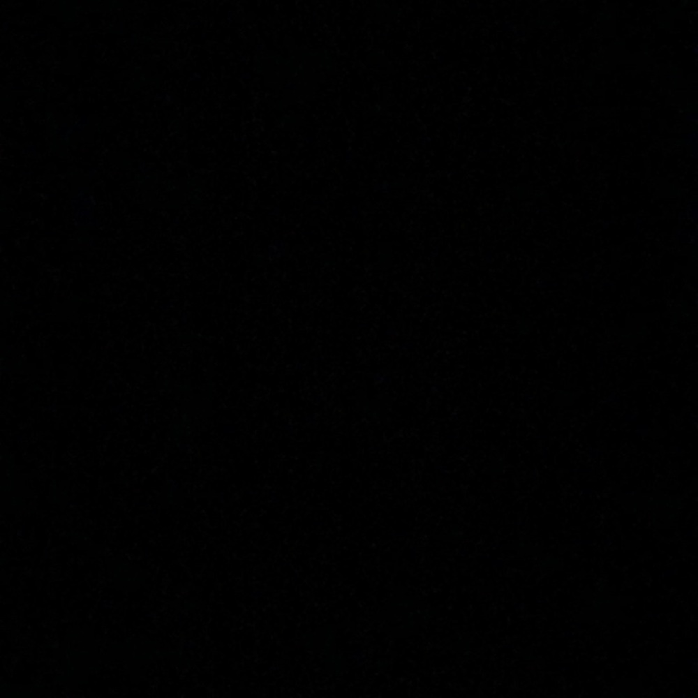 Meet your Posher, Riley